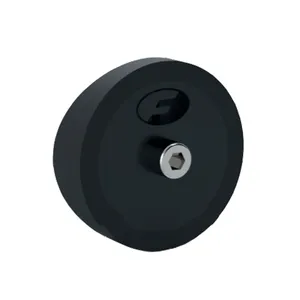 AccessPoint Pikatulppa 54 mm