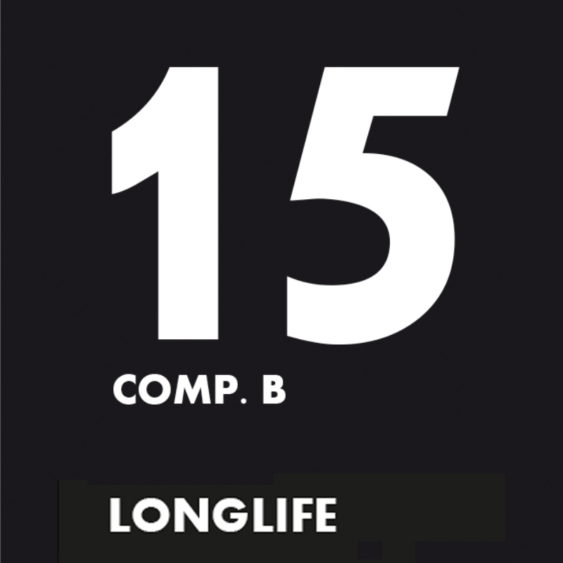 B1 Comp. B 15 (4.0 kg) 